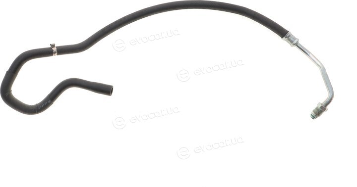 AIC 54952