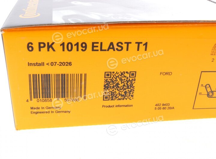 Continental 6PK1019 ELAST T1