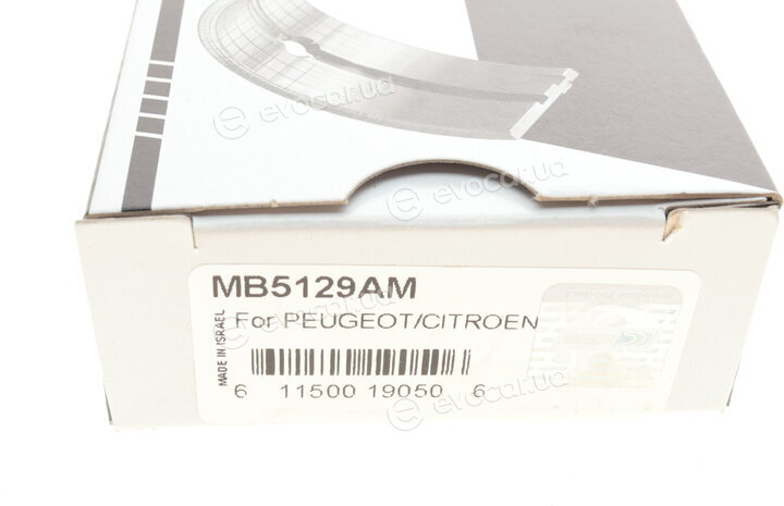 King MB5129AM