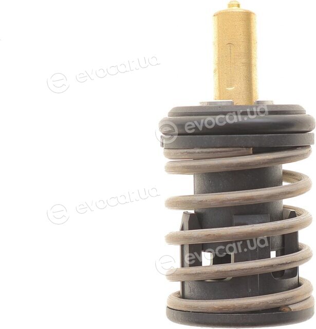 Mahle TX 495 87D