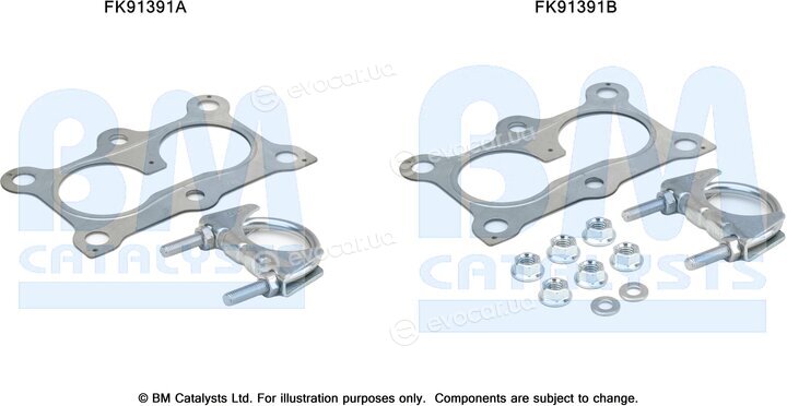 BM Catalysts FK91391