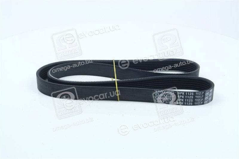 Dayco 6PK1125