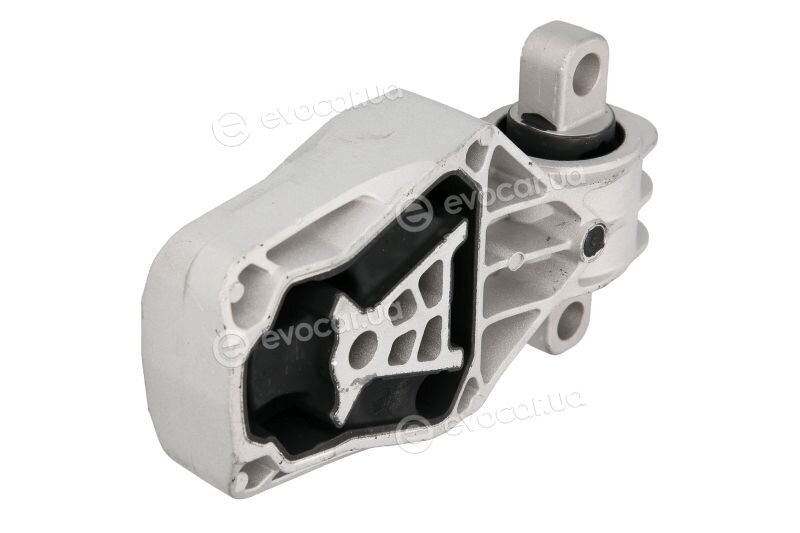Reinhoch RH11-3059