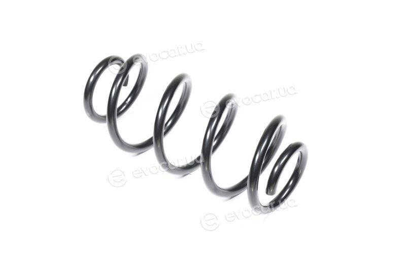 Lesjofors 4004289