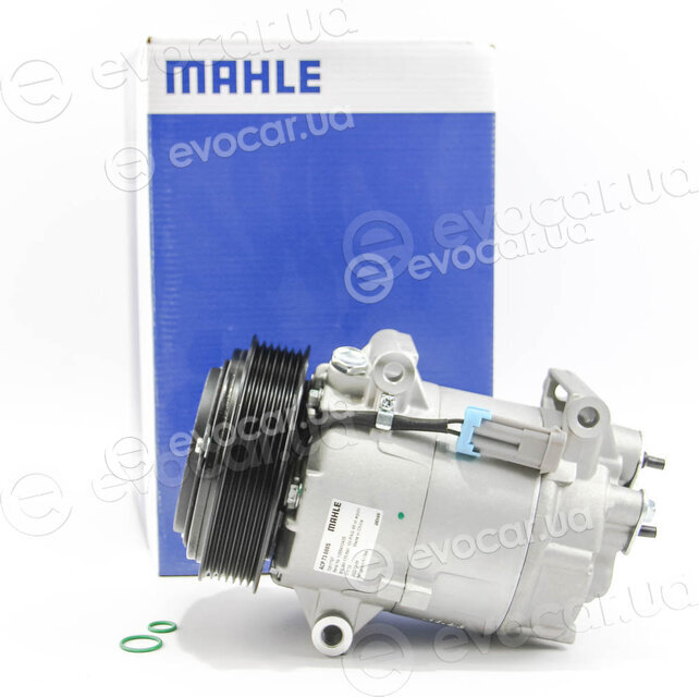 Mahle ACP 73 000S