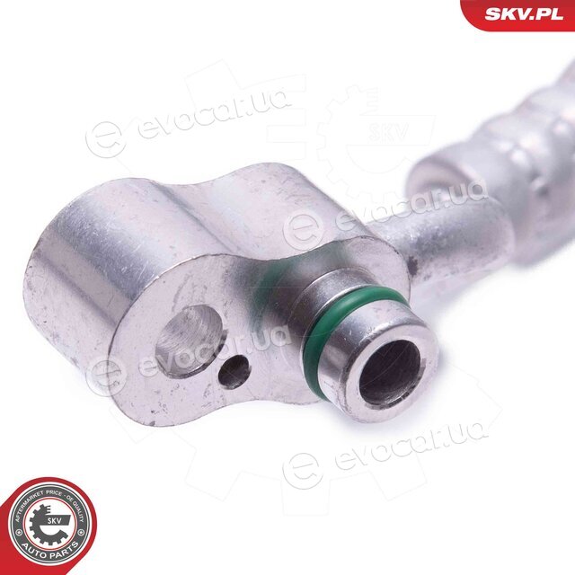 SKV 43SKV528