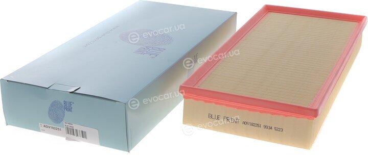 Blue Print ADV182251