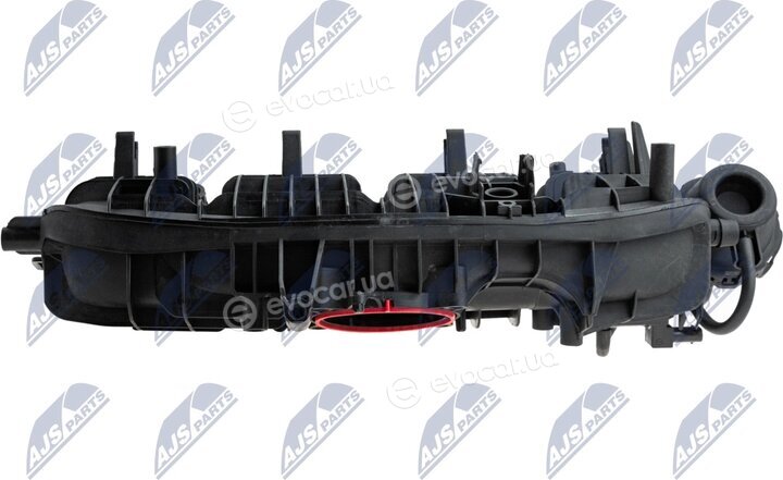 NTY BKS-VW-021