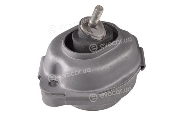 Tedgum 088396