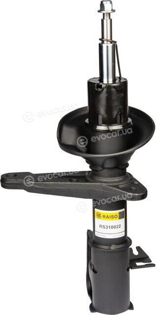 Raiso RS310022