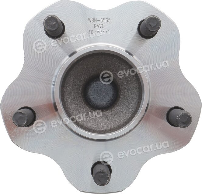 Kavo WBH-6565