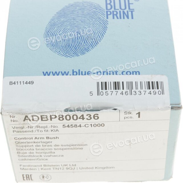 Blue Print ADBP800436