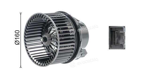 Mahle AB 243 000P