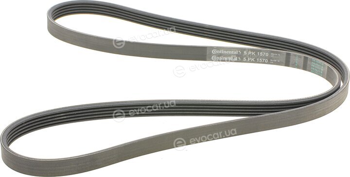 Continental 5PK1570