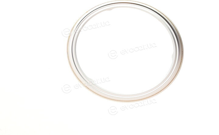 Elring 527.250