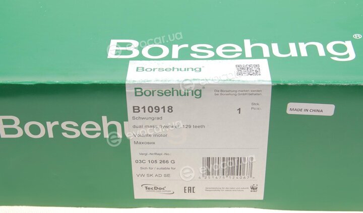 Borsehung B10918