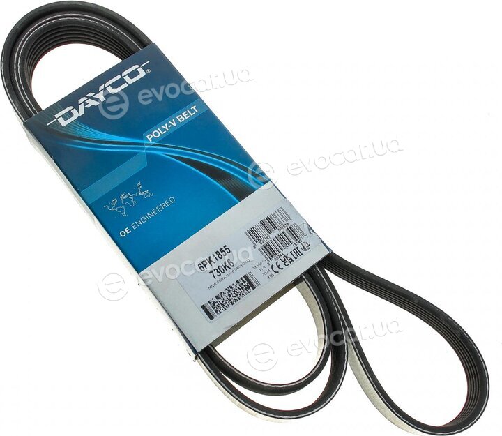 Dayco 6PK1855