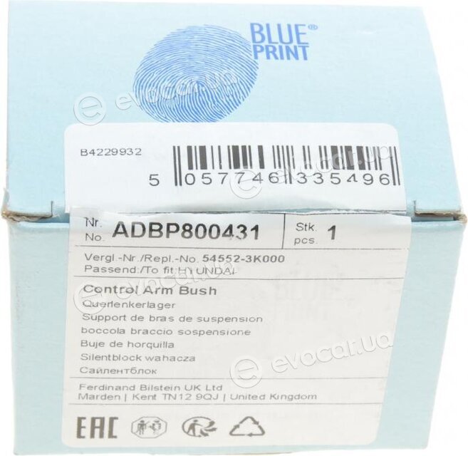 Blue Print ADBP800431