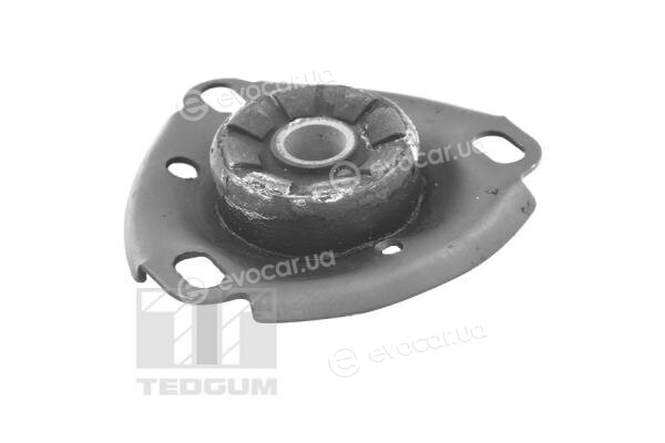 Tedgum 059408