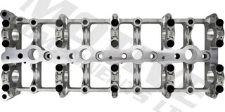 Motive CAMC11