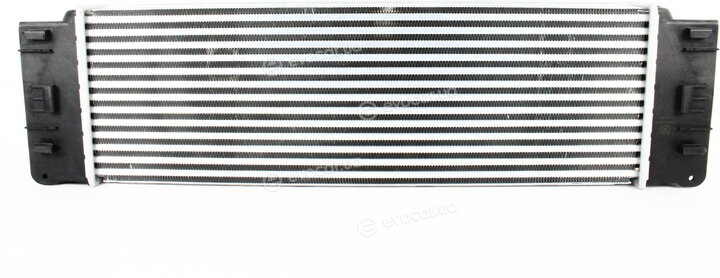 Zilbermann 04-806