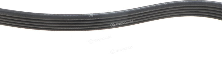Dayco 5PK1680