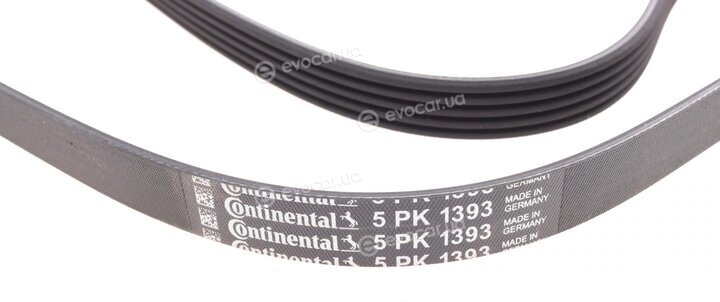 Continental 5PK1393