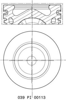 Mahle 039 PI 00113 002