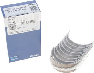 Mahle 001 PS 18813 000