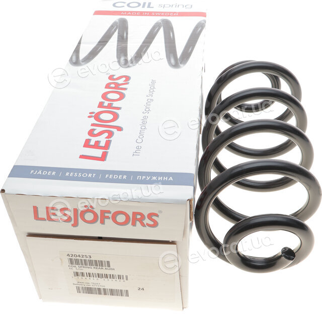 Lesjofors 4204253