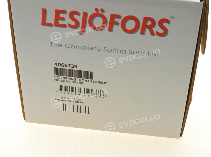 Lesjofors 4066739