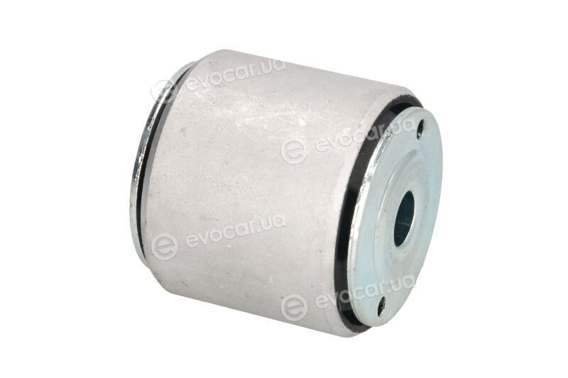 Tedgum TED40982