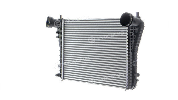 Mahle CI 161 000P