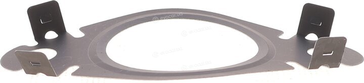 Elring 215.800