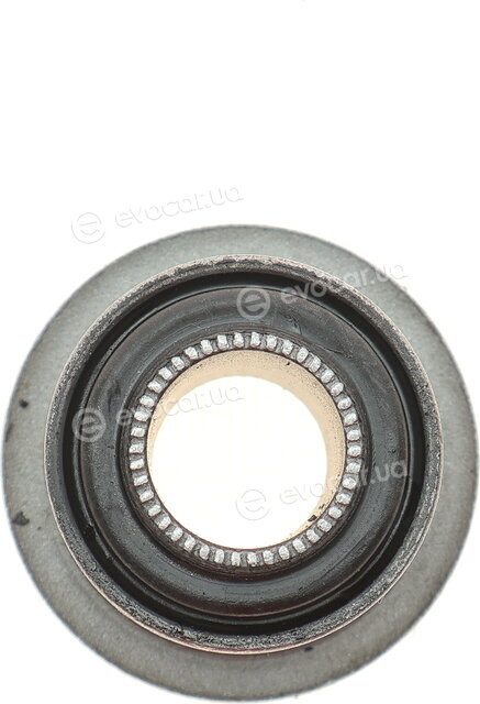 GSP 517582