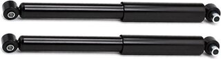Ridex 854S18431