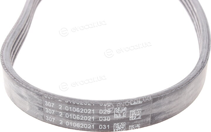 Continental 4PK643 ELAST