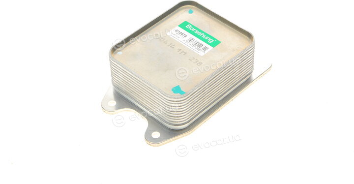 Borsehung B10878