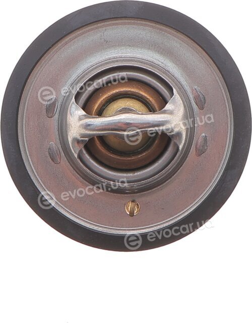 Motorad 234-88JK
