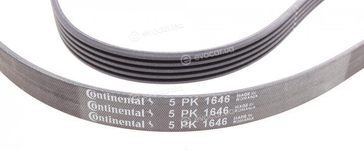 Continental 5PK1646