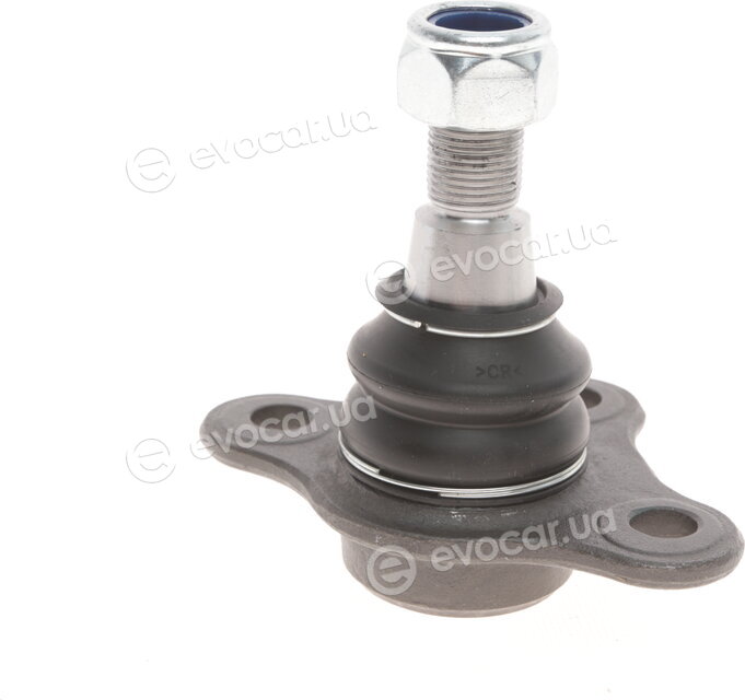 Solgy 203147