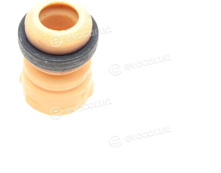 Borsehung B10007