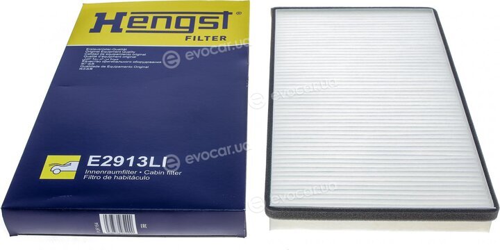 Hengst E2913LI