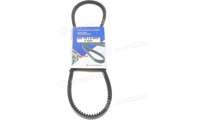 Hutchinson AV 10 La 815