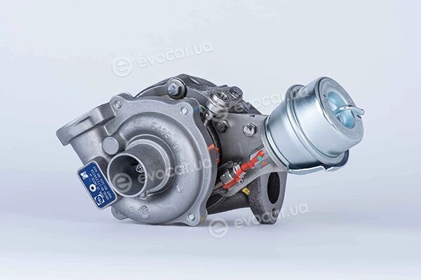 BorgWarner 54359880014