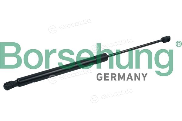 Borsehung B18447