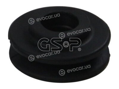 GSP 517566