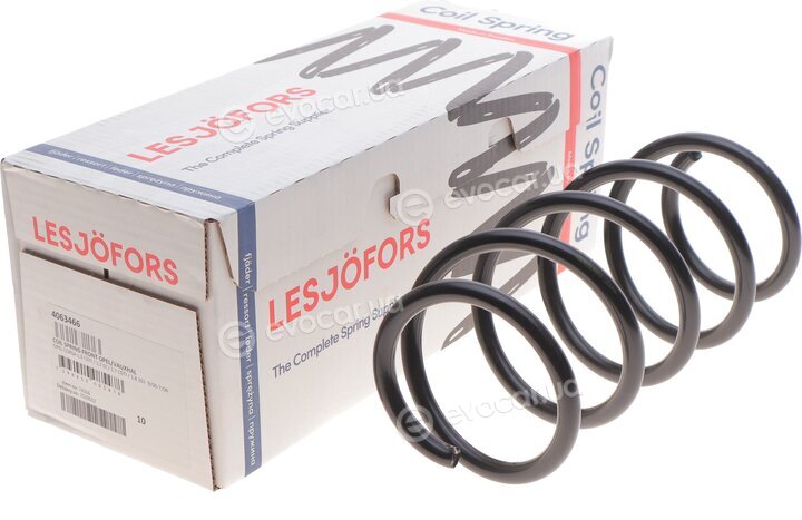 Lesjofors 4063466
