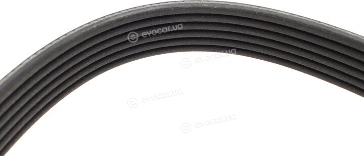 Dayco 6PK2525