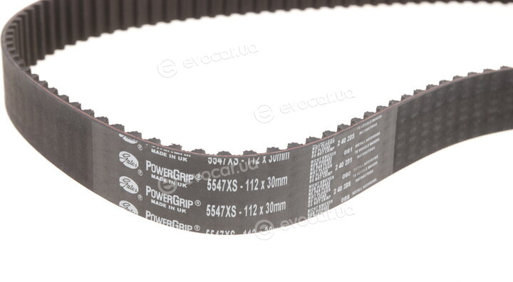 Gates K025547XS